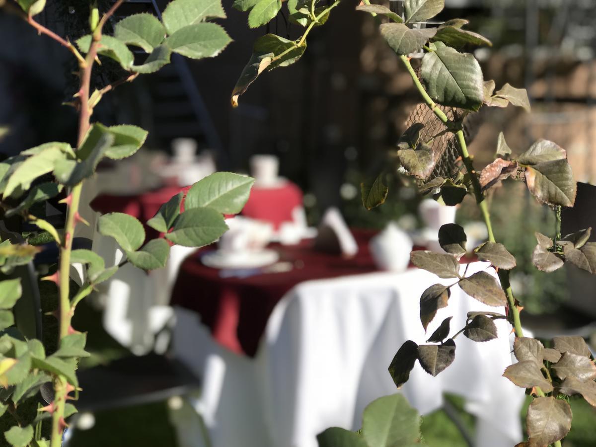 阿雷基帕 Grace Valley酒店 外观 照片